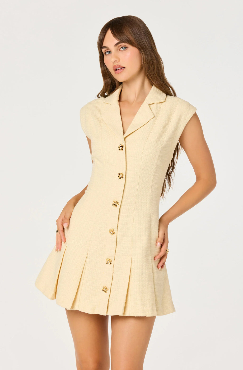 Diannie Tweed Mini Dress