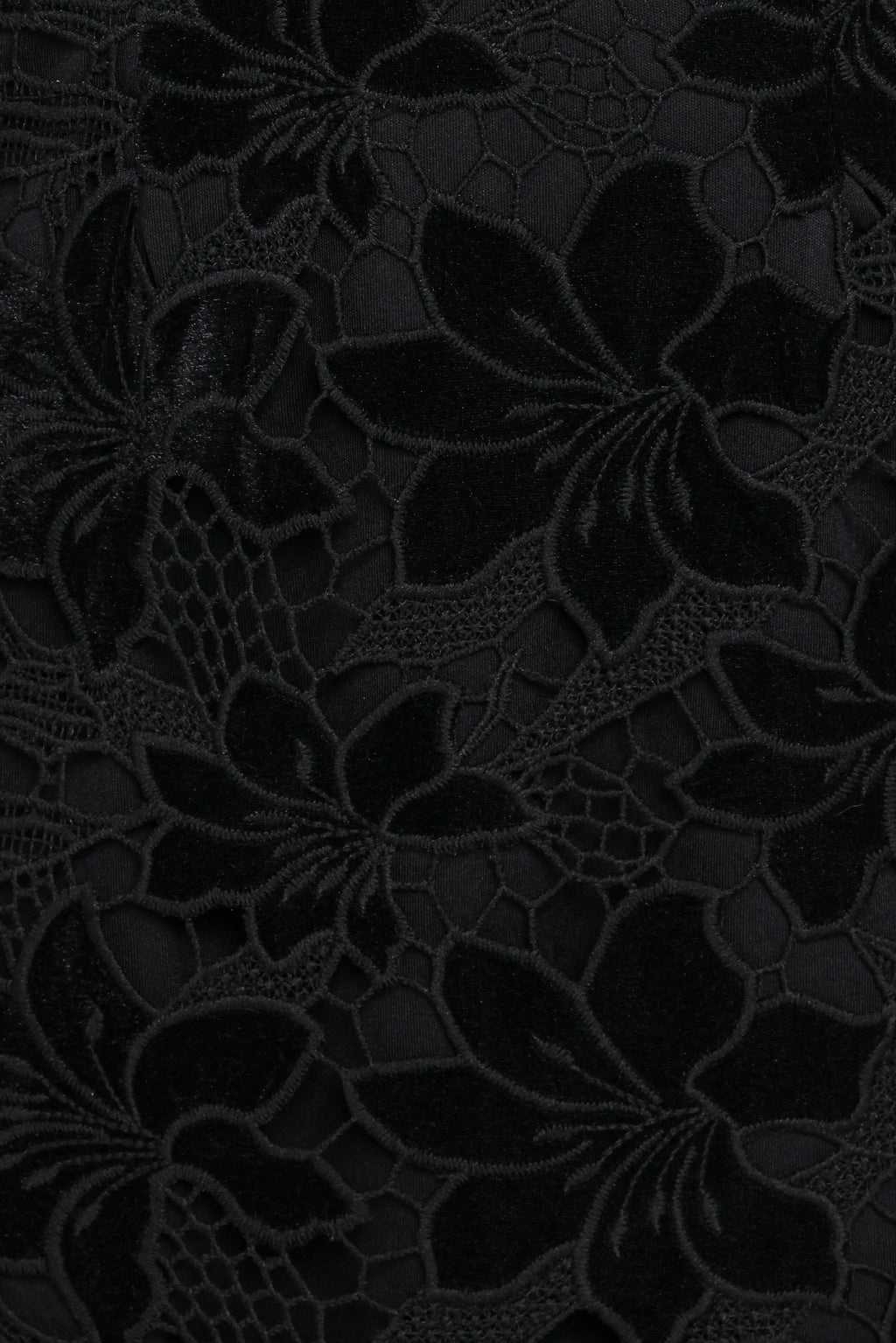 Cynthia Velvet Lace Mini Dress - Black