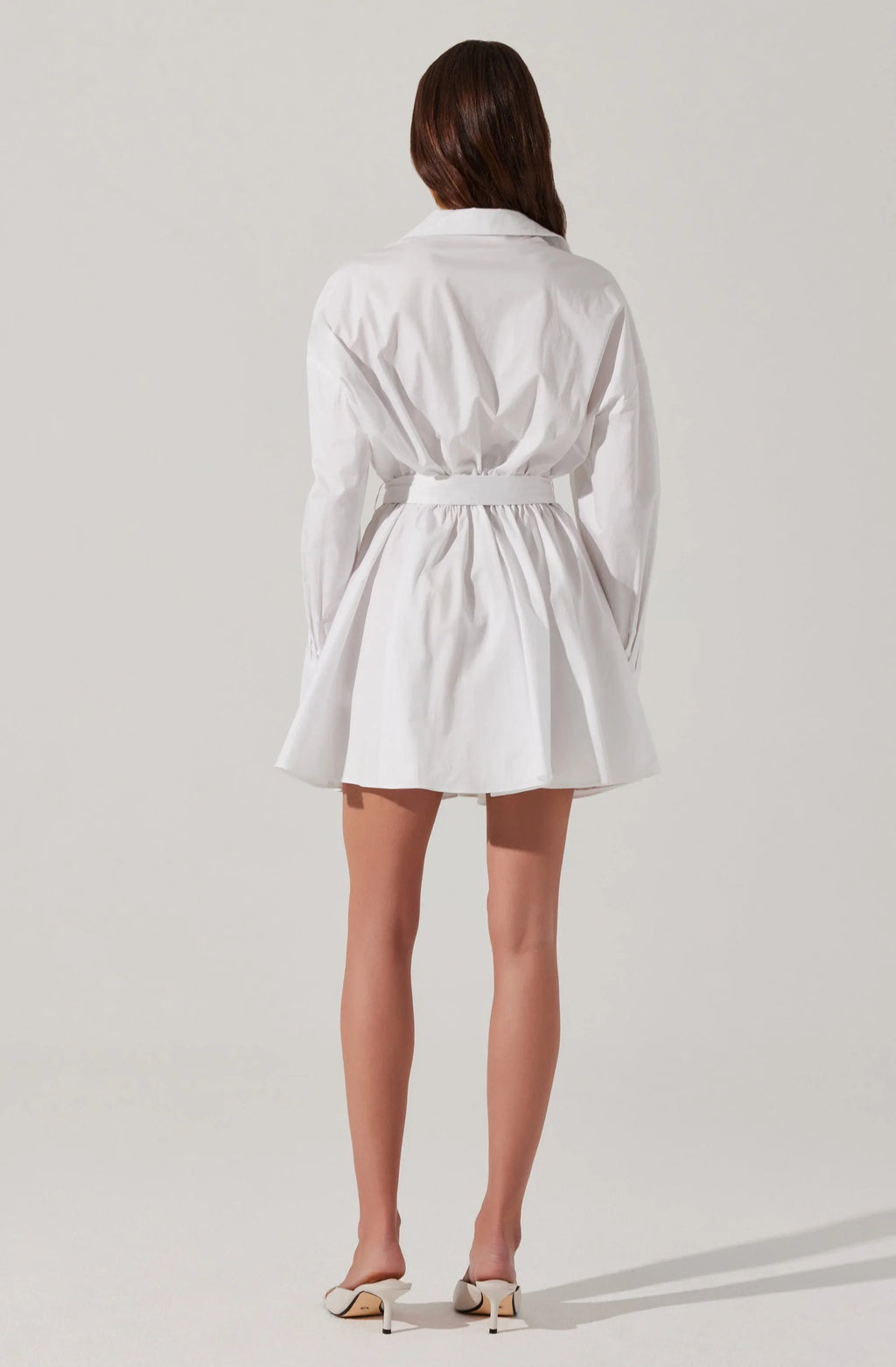 Winica Poplin Mini Dress